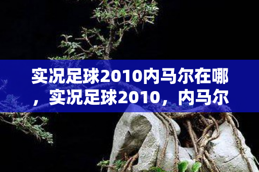 实况足球2010内马尔在哪，实况足球2010，内马尔的传奇之路