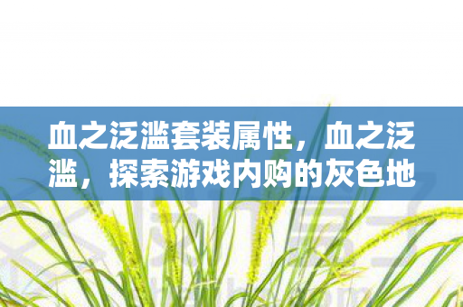 血之泛滥套装属性，血之泛滥，探索游戏内购的灰色地带