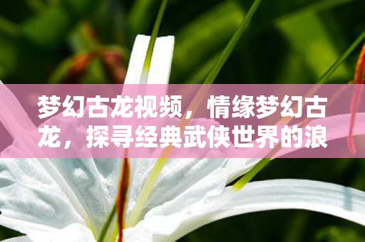 梦幻古龙视频，情缘梦幻古龙，探寻经典武侠世界的浪漫传说