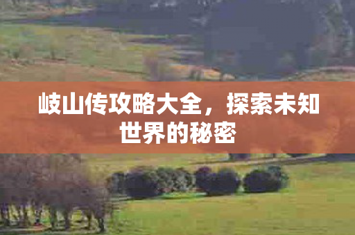 岐山传攻略大全，探索未知世界的秘密