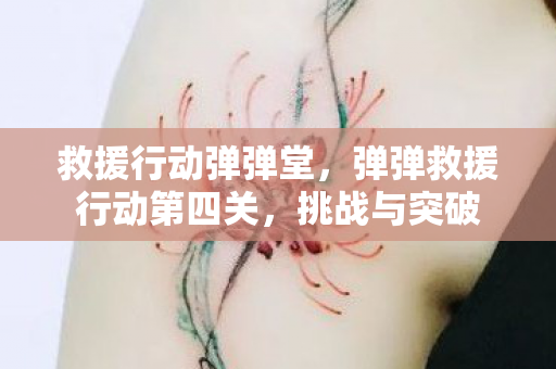 救援行动弹弹堂，弹弹救援行动第四关，挑战与突破