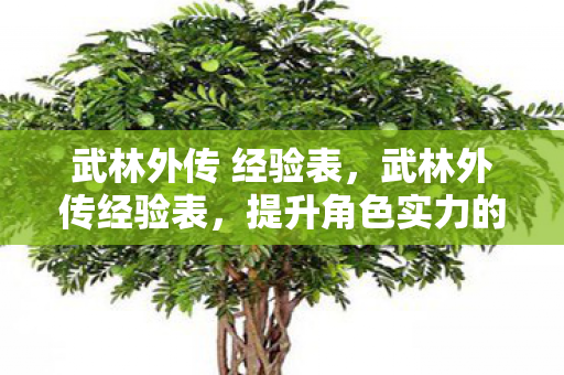 武林外传 经验表，武林外传经验表，提升角色实力的关键指南