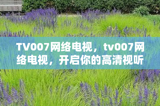 TV007网络电视，tv007网络电视，开启你的高清视听盛宴