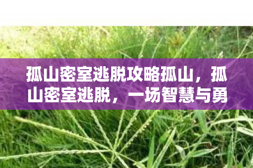孤山密室逃脱攻略孤山，孤山密室逃脱，一场智慧与勇气的挑战