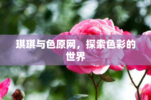 琪琪与色原网,探索色彩的世界 琪琪与色原网,探索色彩的世界