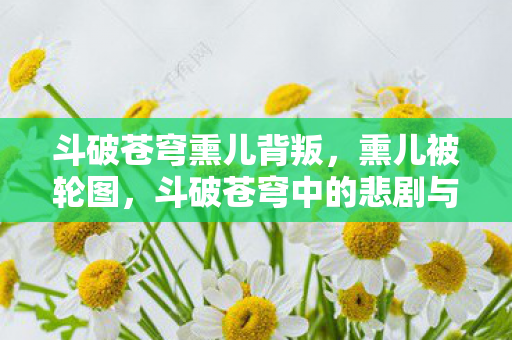 斗破苍穹熏儿背叛，熏儿被轮图，斗破苍穹中的悲剧与抗争