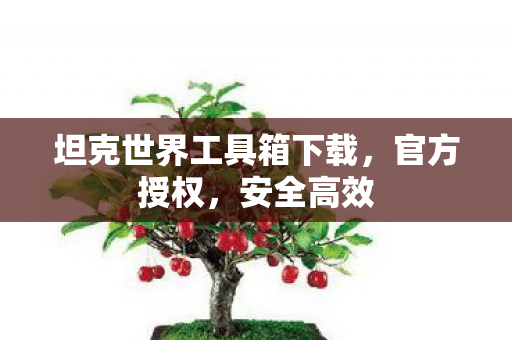 坦克世界工具箱下载，官方授权，安全高效