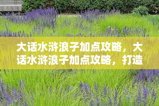 大话水浒浪子加点攻略，大话水浒浪子加点攻略，打造最强浪子的秘诀