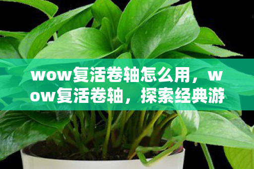 wow复活卷轴怎么用，wow复活卷轴，探索经典游戏的重生之路