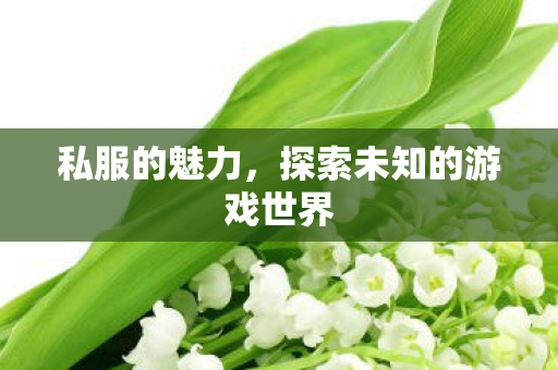 私服的魅力，探索未知的游戏世界