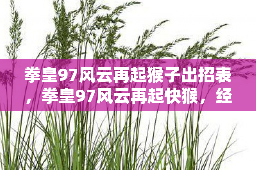 拳皇97风云再起猴子出招表，拳皇97风云再起快猴，经典再现，激情燃烧的岁月
