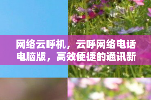 网络云呼机，云呼网络电话电脑版，高效便捷的通讯新体验