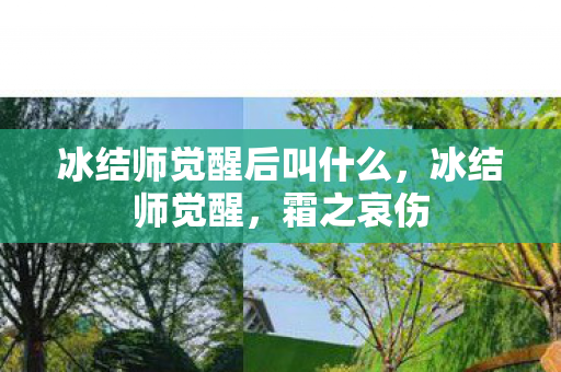 冰结师觉醒后叫什么，冰结师觉醒，霜之哀伤
