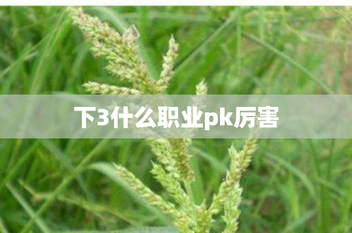 下3什么职业pk厉害
