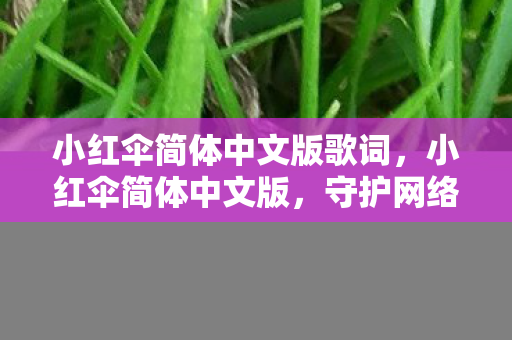 小红伞简体中文版歌词，小红伞简体中文版，守护网络安全，打造纯净网络环境