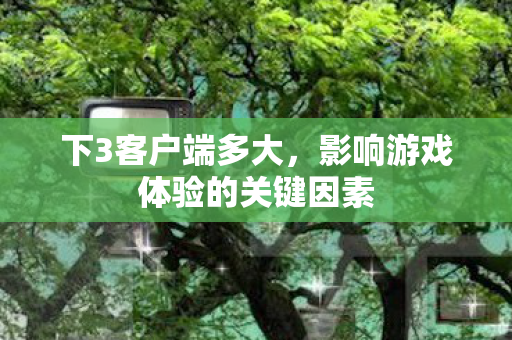 下3客户端多大，影响游戏体验的关键因素