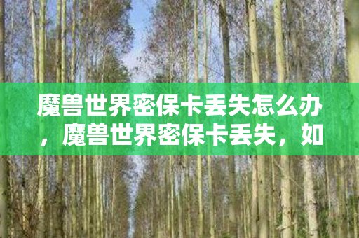 魔兽世界密保卡丢失怎么办，魔兽世界密保卡丢失，如何找回遗失的账号安全？