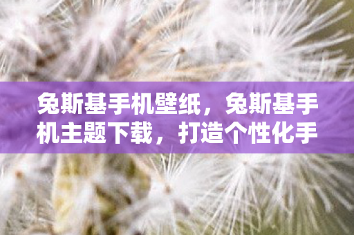 兔斯基手机壁纸，兔斯基手机主题下载，打造个性化手机界面