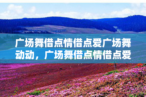 广场舞借点情借点爱广场舞动动，广场舞借点情借点爱动动，舞动生活的旋律