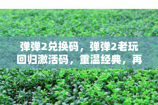 弹弹2兑换码，弹弹2老玩回归激活码，重温经典，再续前缘