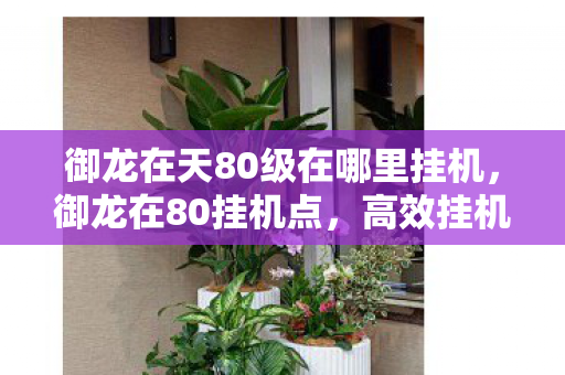 御龙在天80级在哪里挂机，御龙在80挂机点，高效挂机攻略与经验分享