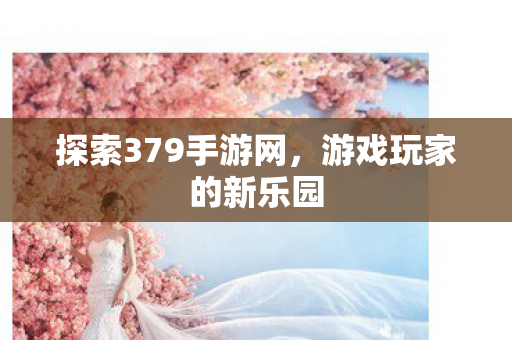 探索379手游网，游戏玩家的新乐园