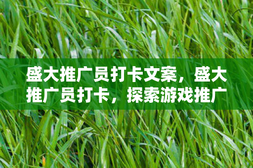 盛大推广员打卡文案，盛大推广员打卡，探索游戏推广的新路径