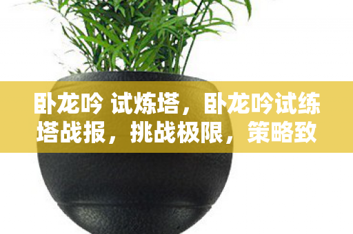 卧龙吟 试炼塔，卧龙吟试练塔战报，挑战极限，策略致胜