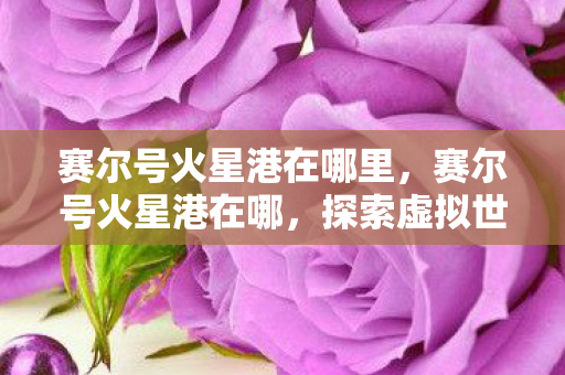 赛尔号火星港在哪里，赛尔号火星港在哪，探索虚拟世界的奇妙之旅