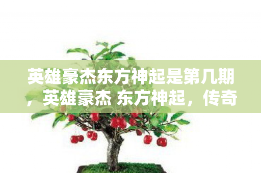 英雄豪杰东方神起是第几期，英雄豪杰 东方神起，传奇背后的荣耀与坚持