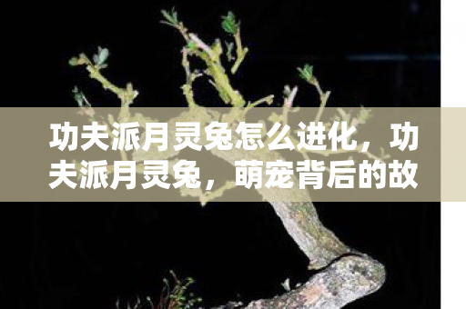 功夫派月灵兔怎么进化，功夫派月灵兔，萌宠背后的故事与游戏乐趣
