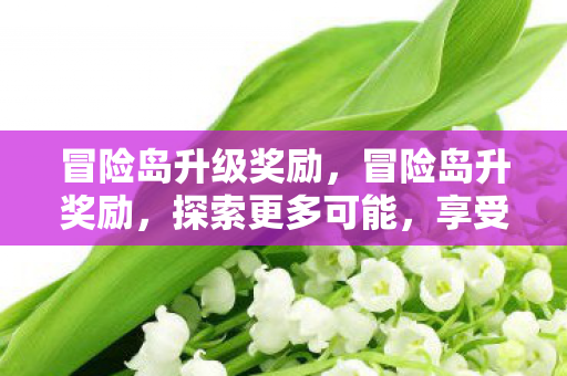 冒险岛升级奖励，冒险岛升奖励，探索更多可能，享受丰厚回馈