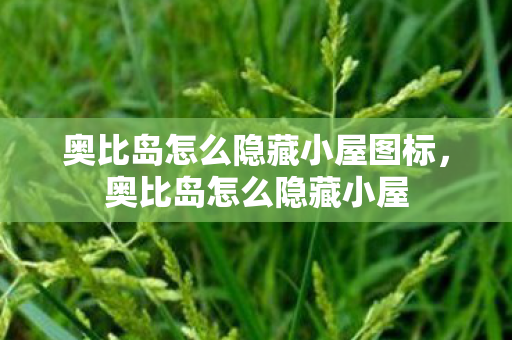 奥比岛怎么隐藏小屋图标，奥比岛怎么隐藏小屋