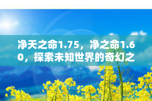 净天之命1.75，净之命1.60，探索未知世界的奇幻之旅