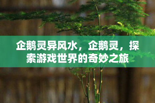 企鹅灵异风水，企鹅灵，探索游戏世界的奇妙之旅