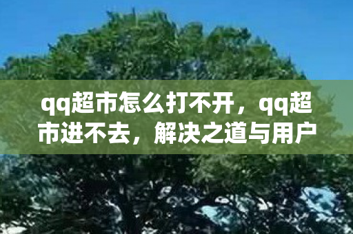 qq超市怎么打不开，qq超市进不去，解决之道与用户体验探讨