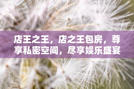 店王之王，店之王包房，尊享私密空间，尽享娱乐盛宴