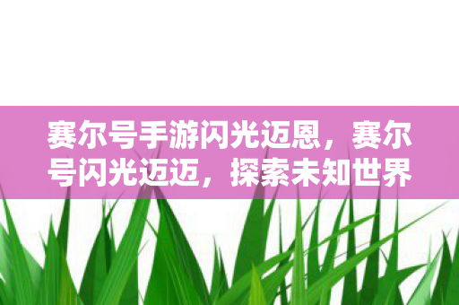 赛尔号手游闪光迈恩，赛尔号闪光迈迈，探索未知世界的神秘精灵