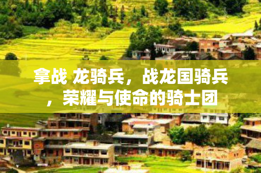拿战 龙骑兵，战龙国骑兵，荣耀与使命的骑士团