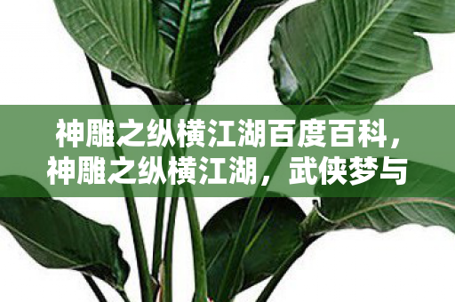 神雕之纵横江湖百度百科，神雕之纵横江湖，武侠梦与江湖情