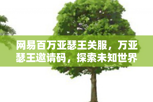 网易百万亚瑟王关服，万亚瑟王邀请码，探索未知世界的神秘钥匙