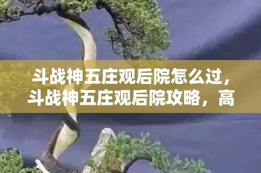 斗战神五庄观后院怎么过，斗战神五庄观后院攻略，高效战斗策略与技巧
