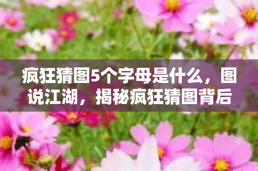 疯狂猜图5个字母是什么，图说江湖，揭秘疯狂猜图背后的秘密