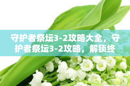 守护者祭坛3-2攻略大全，守护者祭坛3-2攻略，解锁终极挑战