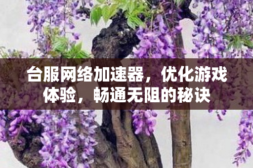 台服网络加速器，优化游戏体验，畅通无阻的秘诀