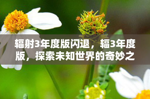 辐射3年度版闪退，辐3年度版，探索未知世界的奇妙之旅