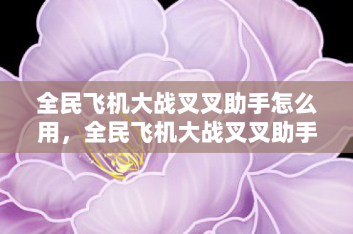 全民飞机大战叉叉助手怎么用，全民飞机大战叉叉助手，提升游戏体验的得力助手