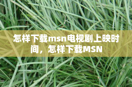 怎样下载msn电视剧上映时间，怎样下载MSN