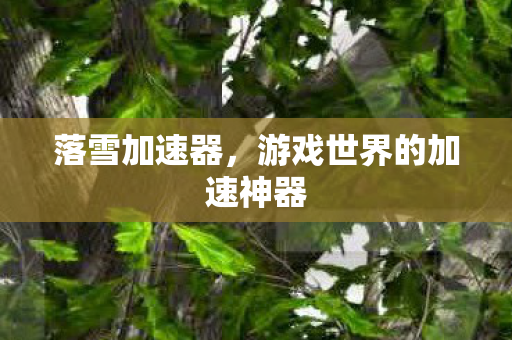 落雪加速器，游戏世界的加速神器