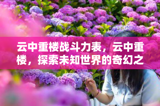 云中重楼战斗力表，云中重楼，探索未知世界的奇幻之旅